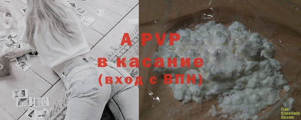 МДПВ Рославль