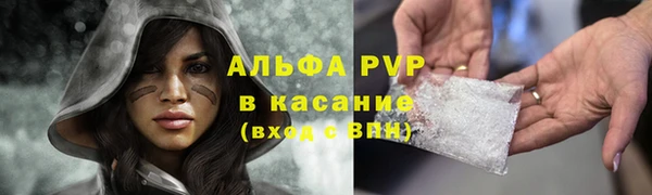 ешки Ростов