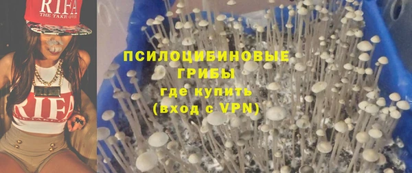 шишки Инсар
