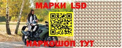 индика Абакан