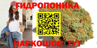 сатива Гагарин