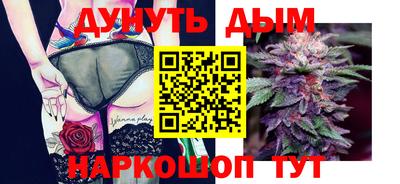 сатива Гагарин