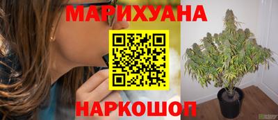 прущая мука Гай