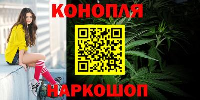 прущая мука Гай