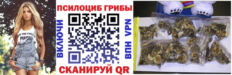 Псилоцибиновые грибы мицелий  Алатырь 
