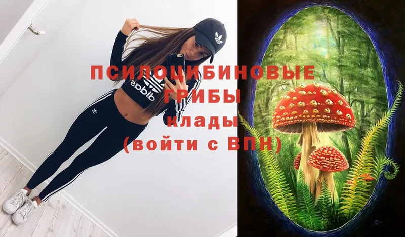 Галлюциногенные грибы Magic Shrooms  Алатырь 