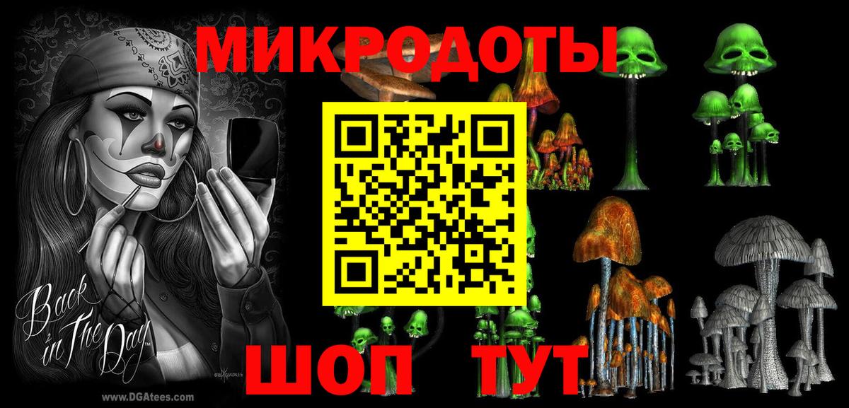 Алатырь  Псилоцибиновые грибы Psilocybe  купить наркоту  Вход с VPN 