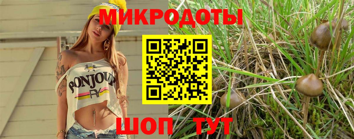 Галлюциногенные грибы MAGIC MUSHROOMS Алатырь