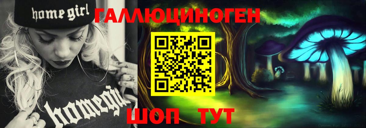 Псилоцибиновые грибы мицелий Алатырь