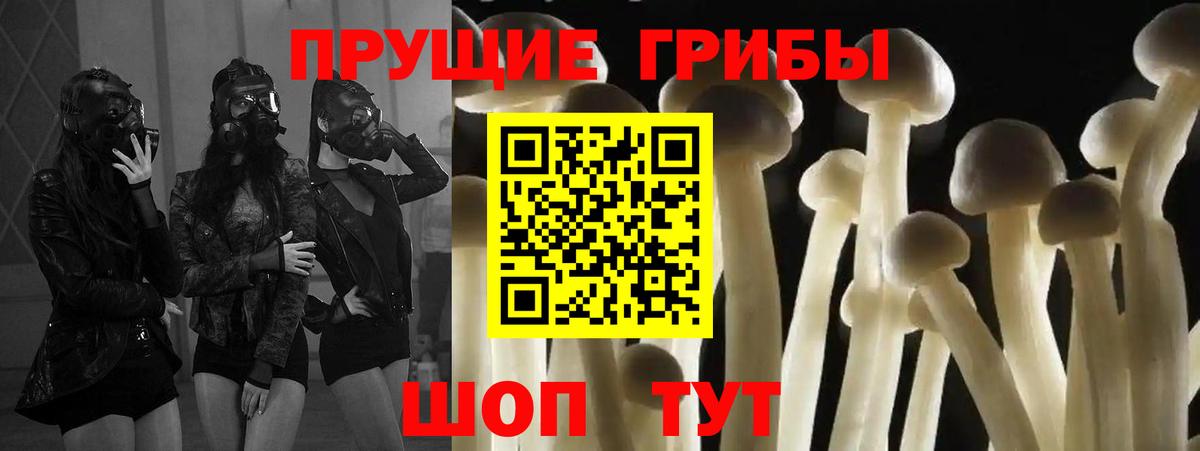 Алатырь  Галлюциногенные грибы прущие грибы  Вход с VPN 