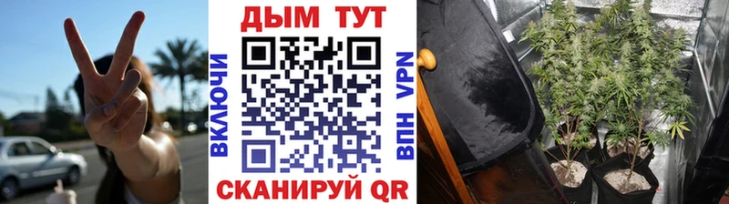 Марихуана ГИДРОПОН Алатырь